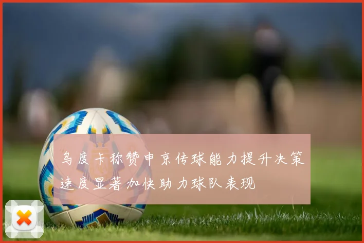 乌度卡称赞申京传球能力提升决策速度显著加快助力球队表现