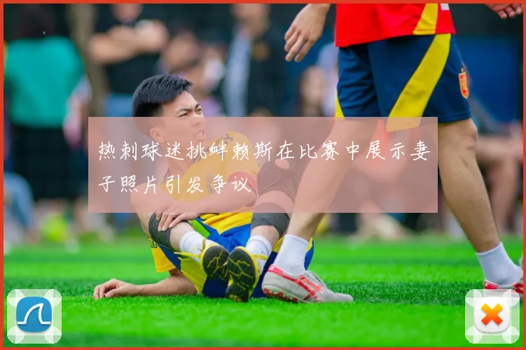 热刺球迷挑衅赖斯在比赛中展示妻子照片引发争议